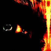 The MBOH Design Collection