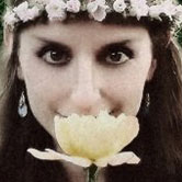 The MBOH Design Collection